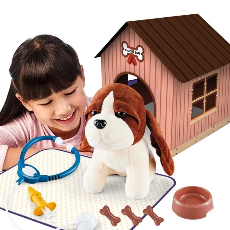 PET HOUSE DOCTOR TOYS